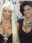 2013 AVN Awards